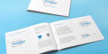 Logo guidelines document for Ballyhoo PR